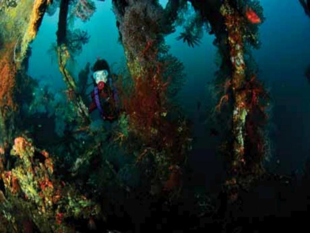 Tulamben Wreck Divers Resort & Restaurant Exterior foto